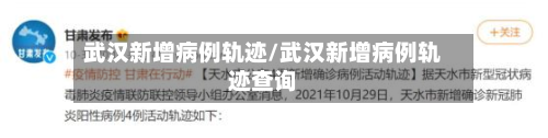 武汉新增病例轨迹/武汉新增病例轨迹查询