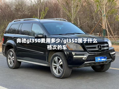 奔驰gl350费用多少/gl350属于什么档次的车