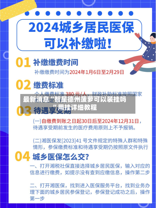 最新消息“智星德州菠萝可以装挂吗	”用挂详细教程-第2张图片