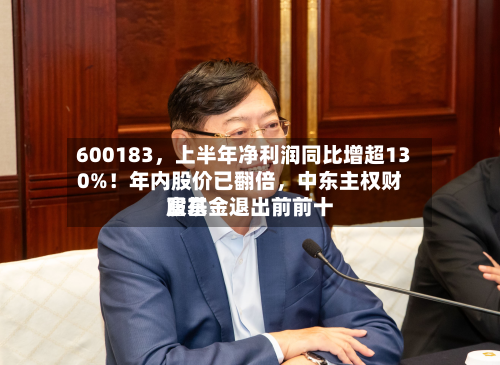 600183，上半年净利润同比增超130%！年内股价已翻倍，中东主权财富基金退出前前十股东-第3张图片
