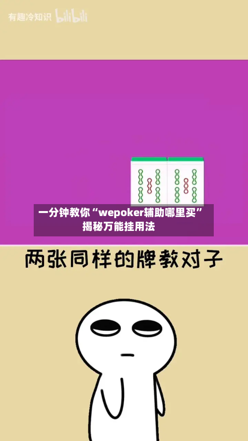 一分钟教你“wepoker辅助哪里买”揭秘万能挂用法-第3张图片