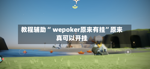 教程辅助“ wepoker原来有挂”原来真可以开挂-第2张图片