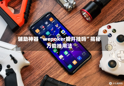 辅助神器“wepoker能开挂吗	”揭秘万能挂用法-第2张图片