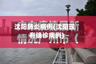 沈阳肺炎病例(沈阳现有确诊病例)
