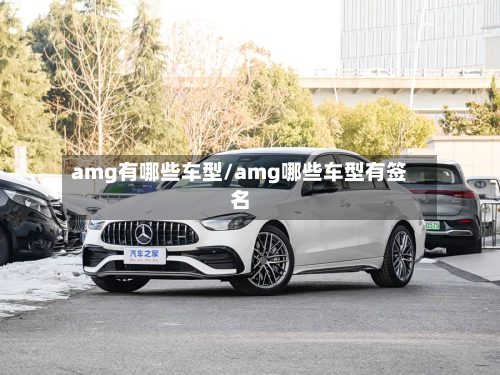 amg有哪些车型/amg哪些车型有签名-第2张图片