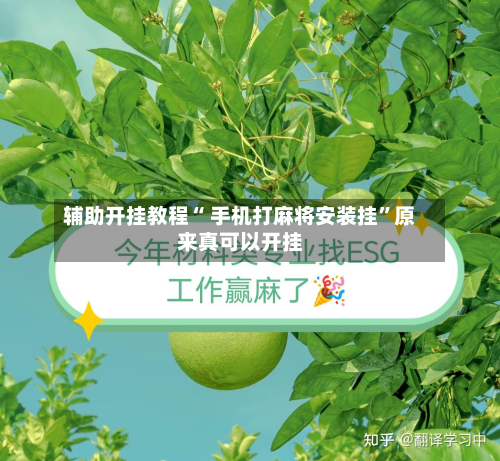 辅助开挂教程“ 手机打麻将安装挂”原来真可以开挂