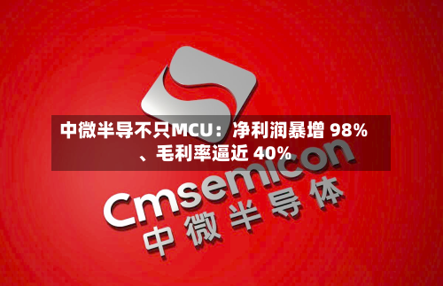 中微半导不只MCU：净利润暴增 98%	、毛利率逼近 40%-第2张图片
