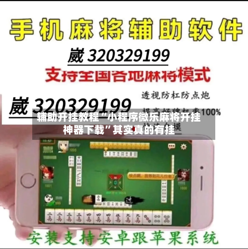 辅助开挂教程“小程序微乐麻将开挂神器下载	”其实真的有挂-第2张图片
