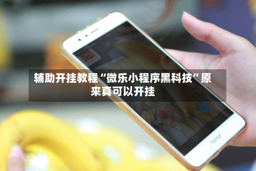 辅助开挂教程“微乐小程序黑科技	”原来真可以开挂-第2张图片