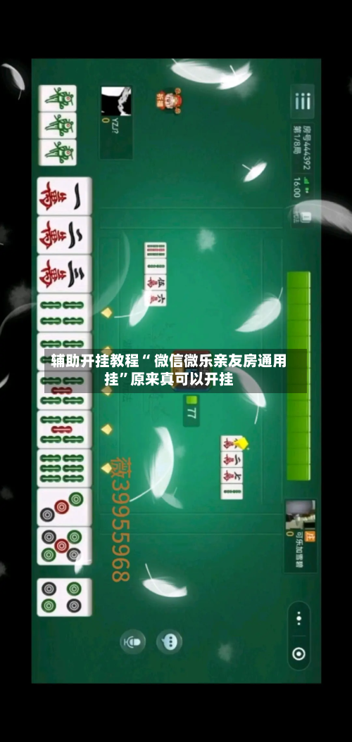 辅助开挂教程“ 微信微乐亲友房通用挂”原来真可以开挂-第2张图片