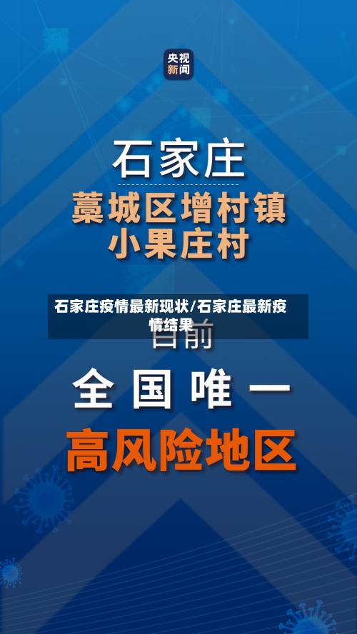 石家庄疫情最新现状/石家庄最新疫情结果-第2张图片