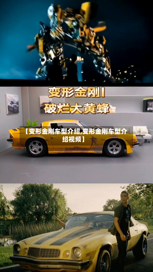 【变形金刚车型介绍,变形金刚车型介绍视频】