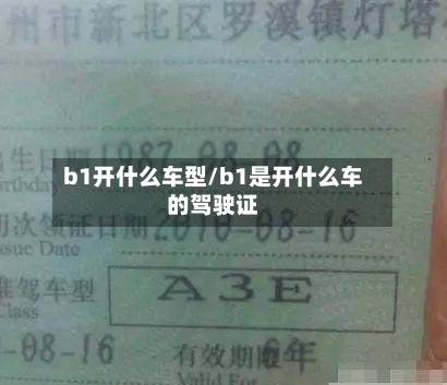 b1开什么车型/b1是开什么车的驾驶证-第2张图片