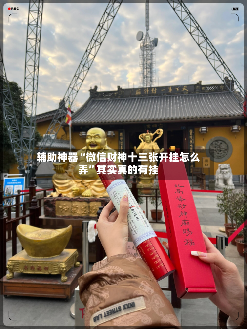 辅助神器“微信财神十三张开挂怎么弄	”其实真的有挂-第2张图片
