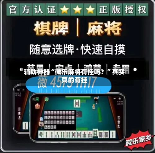 辅助神器“微乐麻将有挂吗？	”其实真的有挂-第3张图片