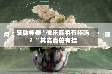 辅助神器“微乐麻将有挂吗？”其实真的有挂-第2张图片
