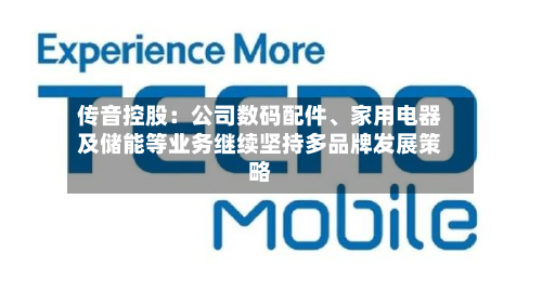 传音控股：公司数码配件	、家用电器及储能等业务继续坚持多品牌发展策略-第1张图片
