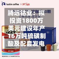 腾远钴业:拟投资1800万美元建设年产16万吨硫磺制酸及配套发电项目