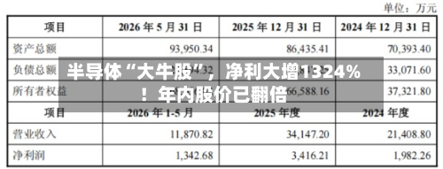 半导体“大牛股”,净利大增1324%!年内股价已翻倍