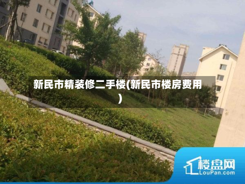 新民市精装修二手楼(新民市楼房费用)-第2张图片