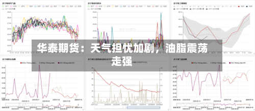 华泰期货：天气担忧加剧，油脂震荡走强-第1张图片