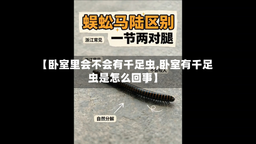 【卧室里会不会有千足虫,卧室有千足虫是怎么回事】-第3张图片