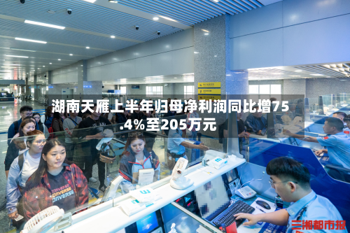 湖南天雁上半年归母净利润同比增75.4%至205万元