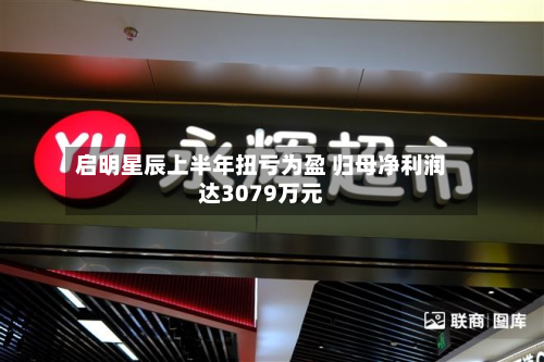 启明星辰上半年扭亏为盈 归母净利润达3079万元-第2张图片