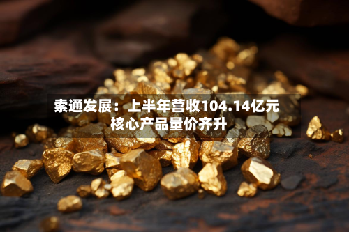 索通发展:上半年营收104.14亿元 核心产品量价齐升