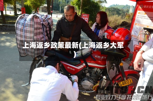 上海返乡政策最新(上海返乡大军)-第2张图片