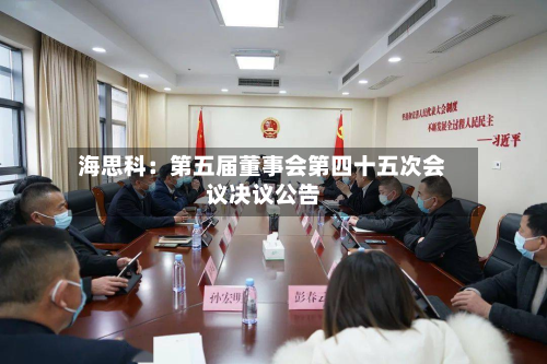 海思科：第五届董事会第四十五次会议决议公告