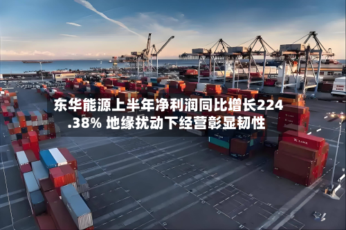 东华能源上半年净利润同比增长224.38% 地缘扰动下经营彰显韧性-第2张图片