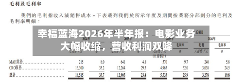 幸福蓝海2026年半年报:电影业务大幅收缩,营收利润双降