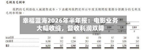 幸福蓝海2026年半年报：电影业务大幅收缩，营收利润双降-第3张图片