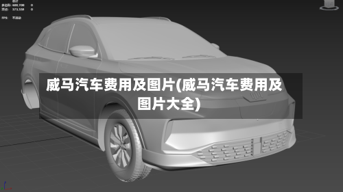 威马汽车费用及图片(威马汽车费用及图片大全)-第2张图片