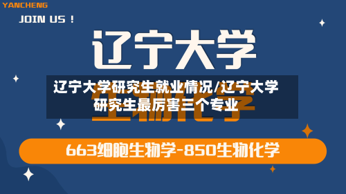 辽宁大学研究生就业情况/辽宁大学研究生最厉害三个专业