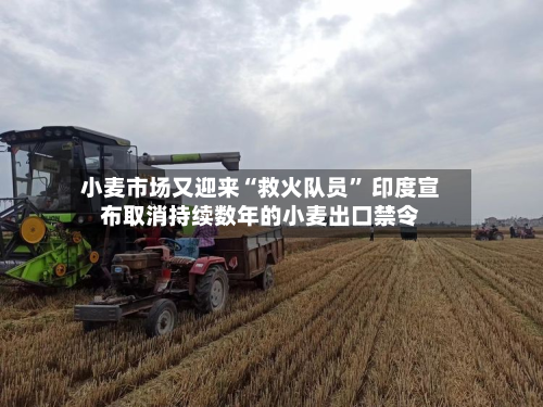 小麦市场又迎来“救火队员	” 印度宣布取消持续数年的小麦出口禁令-第1张图片
