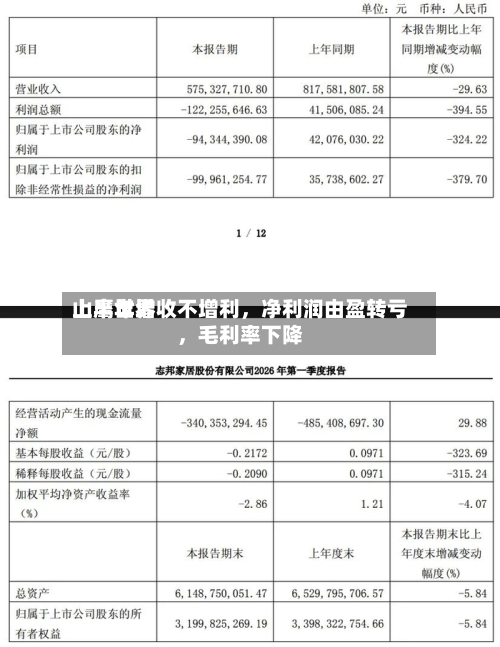 山鹰世界
上半年增收不增利,净利润由盈转亏,毛利率下降