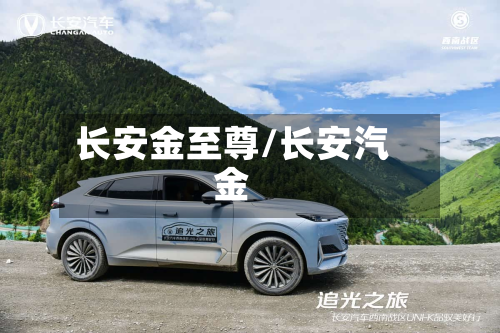 长安金至尊/长安汽金