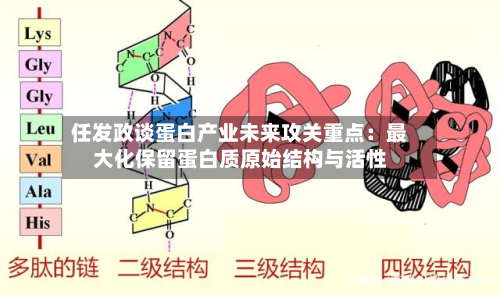任发政谈蛋白产业未来攻关重点：最大化保留蛋白质原始结构与活性