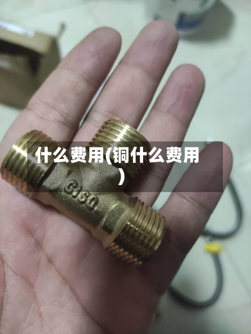 什么费用(铜什么费用)