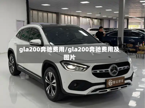 gla200奔驰费用/gla200奔驰费用及图片-第2张图片