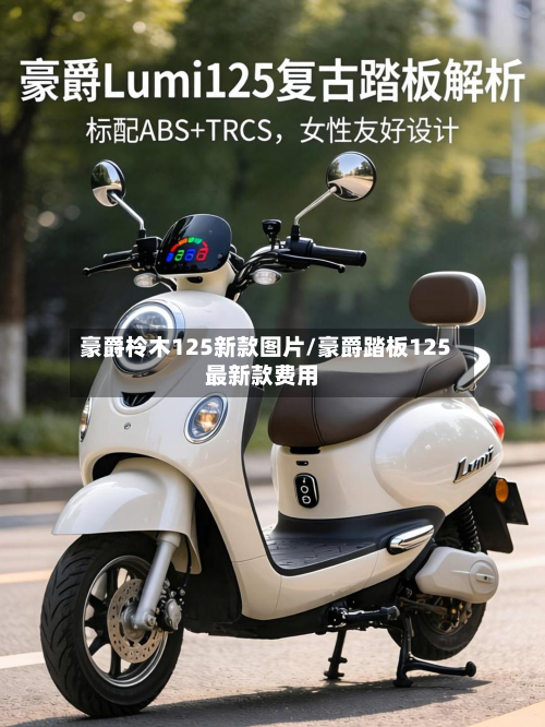 豪爵柃木125新款图片/豪爵踏板125最新款费用