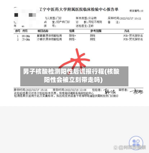 男子核酸检测阳性后谎报行程(核酸阳性会被立刻带走吗)-第2张图片