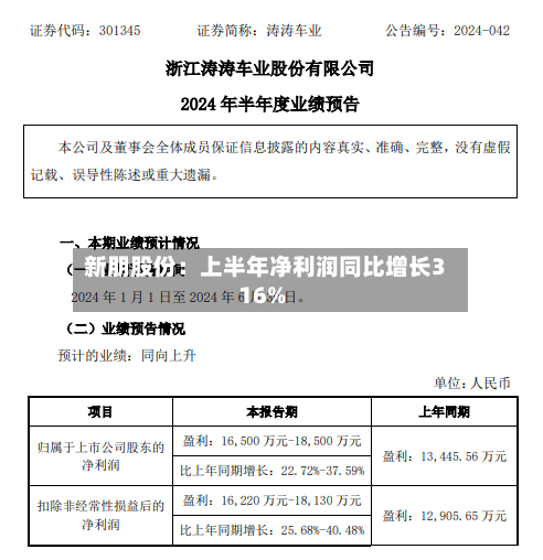新朋股份:上半年净利润同比增长316%