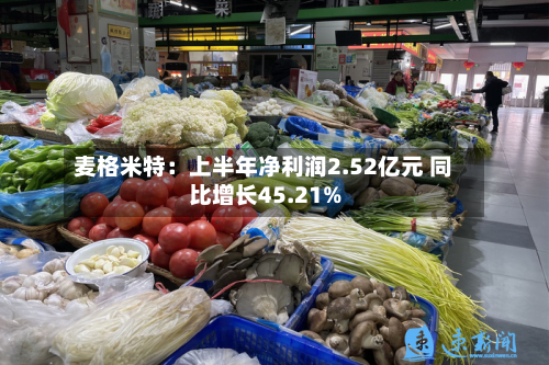 麦格米特:上半年净利润2.52亿元 同比增长45.21%