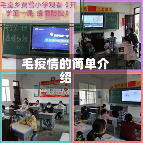 毛疫情的简单介绍