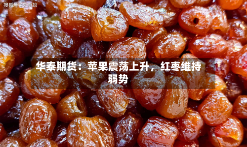 华泰期货：苹果震荡上升	，红枣维持弱势-第1张图片
