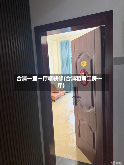 合浦一室一厅精装修(合浦租房二房一厅)