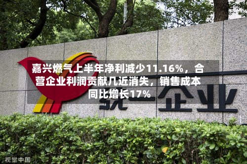 嘉兴燃气上半年净利减少11.16%，合营企业利润贡献几近消失	，销售成本同比增长17%-第2张图片